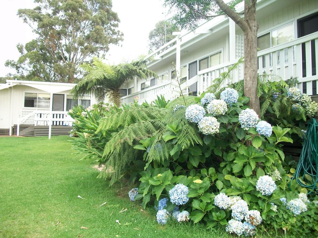 Top Of The Lake Holiday Units Merimbula Exteriör bild