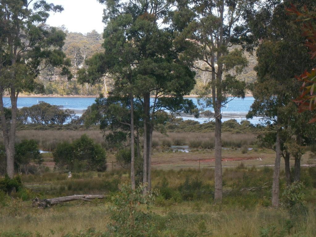 Top Of The Lake Holiday Units Merimbula Exteriör bild