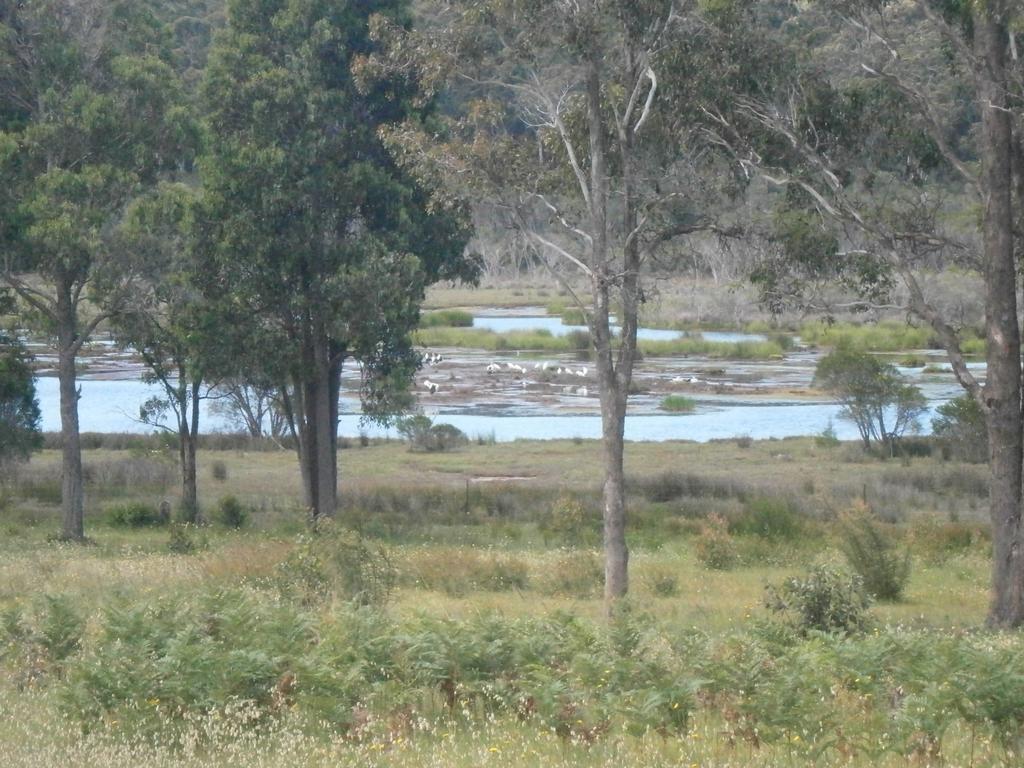 Top Of The Lake Holiday Units Merimbula Exteriör bild
